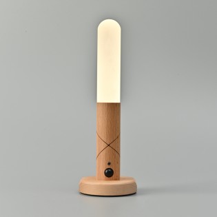 Portable LED lamp with sensor Tim (1W)