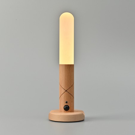 Portable LED lamp with sensor Tim (1W)