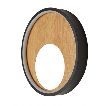 LED Wall Lamp Curio (11W)