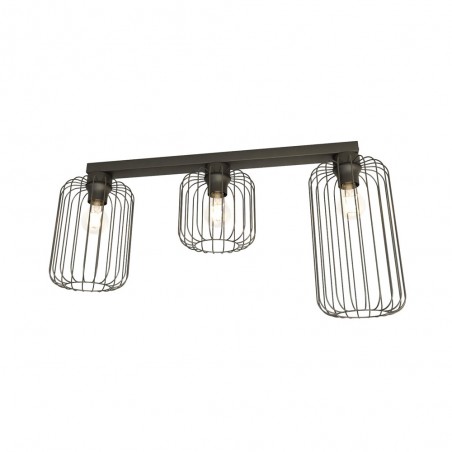 Regleta de techo Coberti Negro (3 luces)