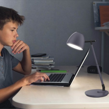 LED Desk Lamp Foster (8W)