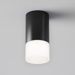 Ceiling Flush Light Pauline