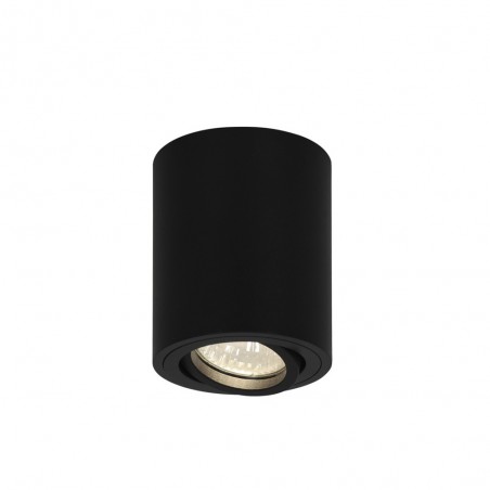 Downlight Silos