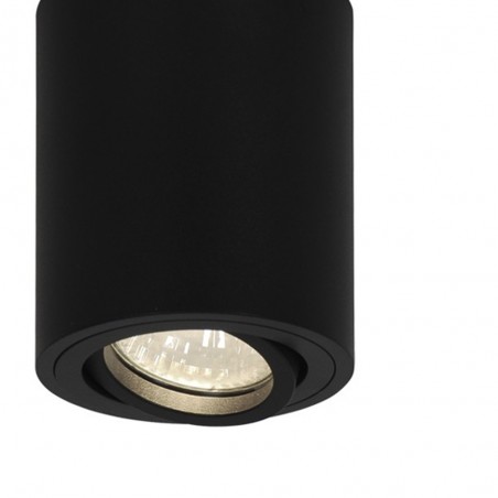 Downlight Silos
