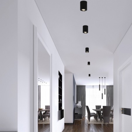 Downlight Silos