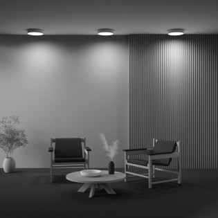 LED Ceiling Flush Light Zon (36W)