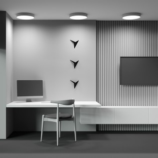LED Ceiling Flush Light Zon (45W)