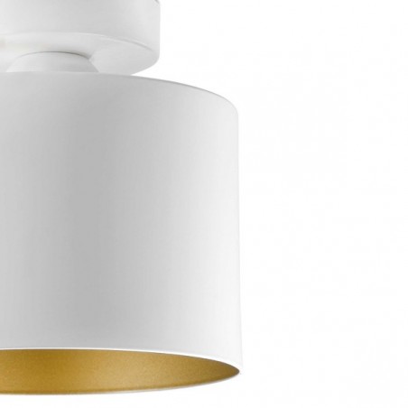 Modern Ceiling Flush Light Janet