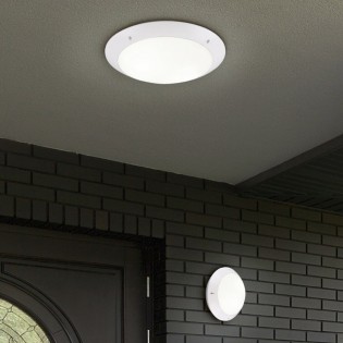 Outdoor Ceiling Flush Light Camaro