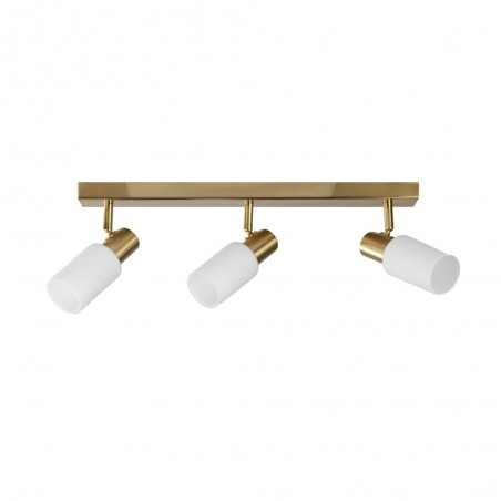 Ceiling track light Samba (3 Lights)