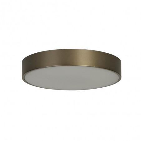Plafón de techo LED Palma (12W)