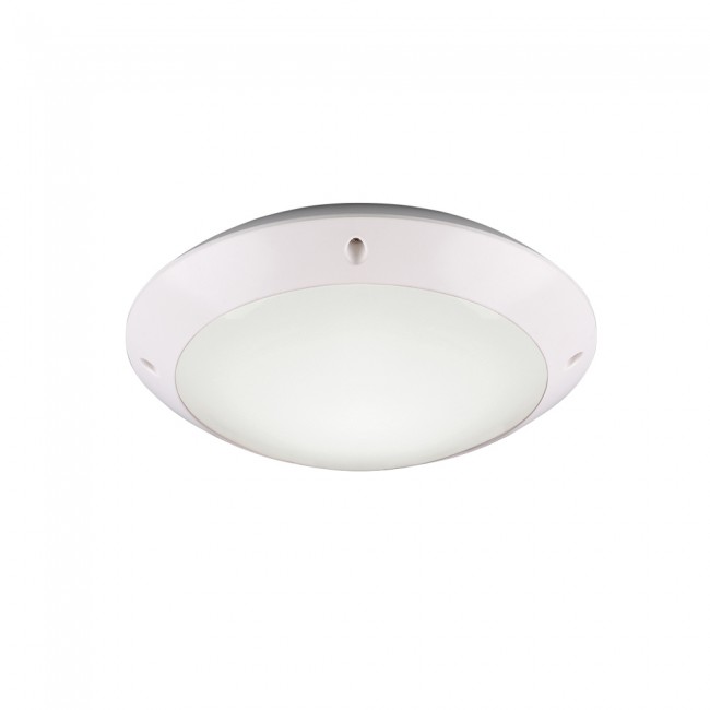 Outdoor Ceiling Flush Light Camaro