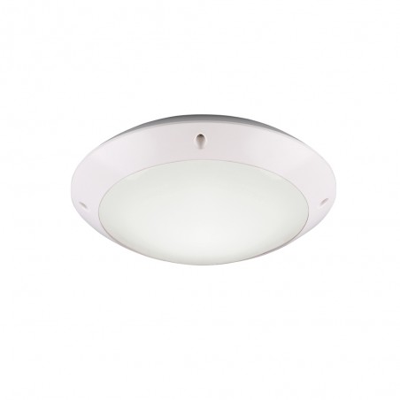 Outdoor Ceiling Flush Light Camaro