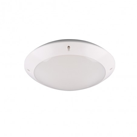 Outdoor Ceiling Flush Light Camaro
