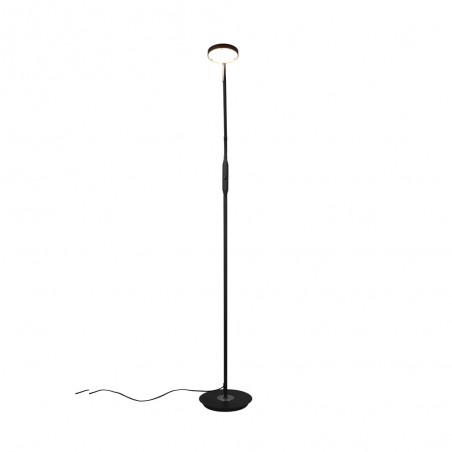 LED Floor Lamp Monza CCT Dim (12W)