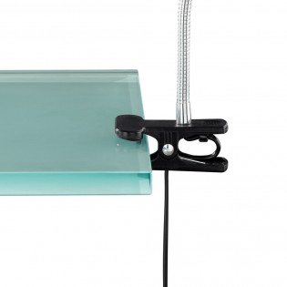 LED desk lamp with clamp Arras (4W)