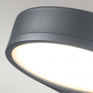 Zola LED  Wall Lantern