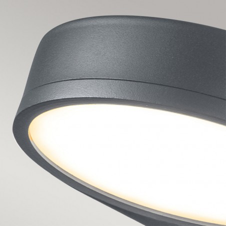 Zola LED  Wall Lantern