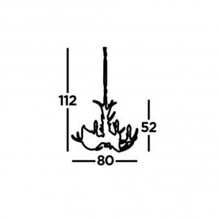 Ceiling lamp Stag (6 lights)