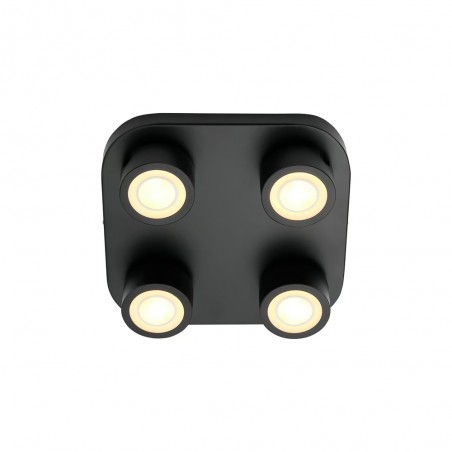 LED Ceiling Flush Light Clyde (4x3.5W)