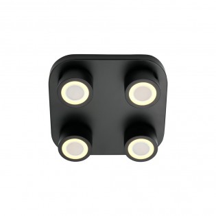 LED Ceiling Flush Light Clyde (4x3.5W)