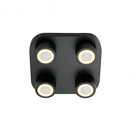 LED Ceiling Flush Light Clyde (4x3.5W)