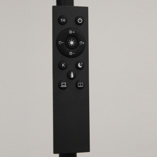 LED Floor Lamp Denzel CCT Dim (24W)