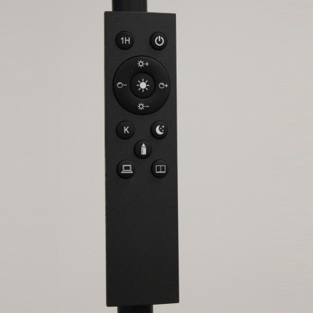 LED Floor Lamp Denzel CCT Dim (24W)
