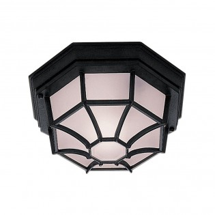 Outdoor Ceiling light Porche