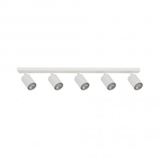 Ceiling track light...