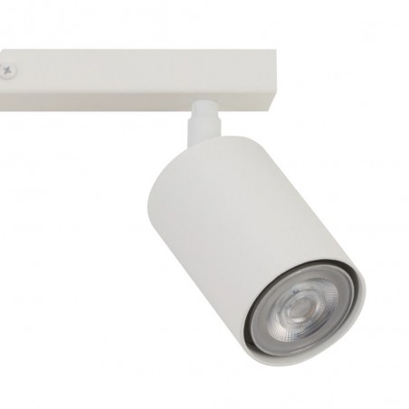 Ceiling track light Arcadian (2 Lights)