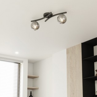 Ceiling Flush Light Terima Graphite (2 lights)