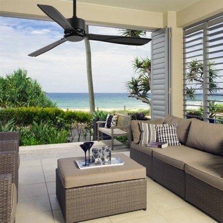 Ceiling fan Sharki