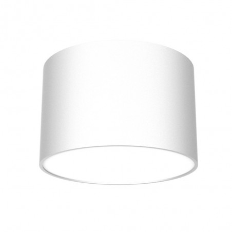 Flush light Dixie