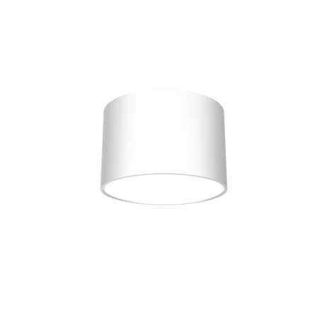 Flush light Dixie