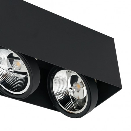 Ceiling Flush Light Plaza (2 Lights)