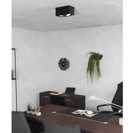 Ceiling Flush Light Plaza (2 Lights)