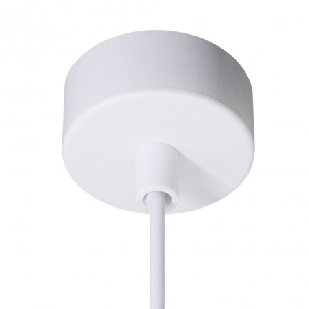 Pendant Lamp Gobi