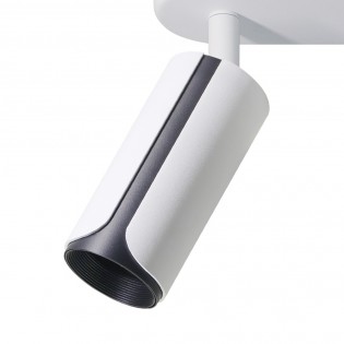Ceiling Track Spotlights Gobi (2 lights)