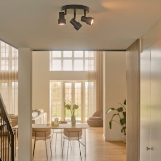 Ceiling Flush Light Boston (3 lights)