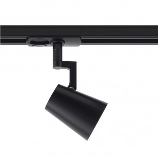 Rail spotlight Allison Link