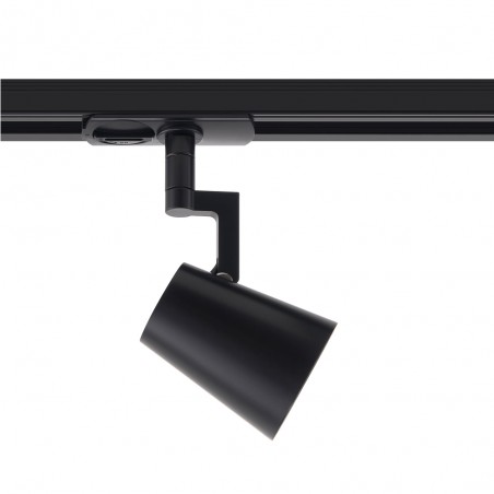 Rail spotlight Allison Link