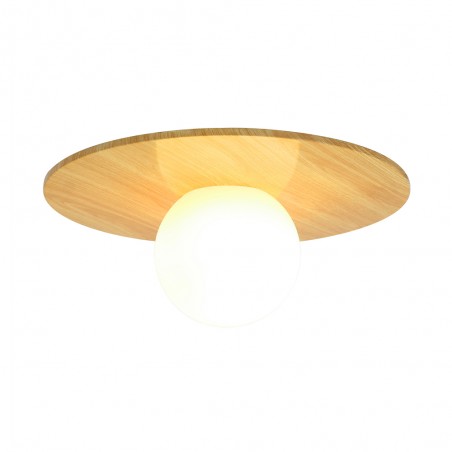 Bathroom's Ceiling Flush Light Siona