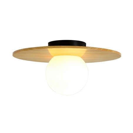 Bathroom's Ceiling Flush Light Siona