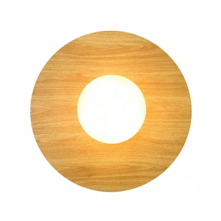 Bathroom's Ceiling Flush Light Siona