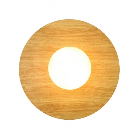 Bathroom's Ceiling Flush Light Siona