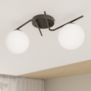 Flush light Davison (2 lights)