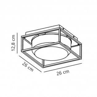 Outdoor Ceiling Flush Light Griffin
