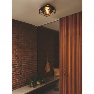 Outdoor Ceiling Flush Light Griffin