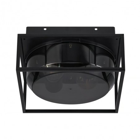 Outdoor Ceiling Flush Light Griffin